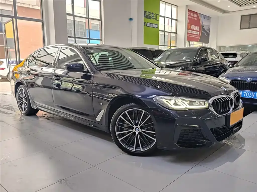 BMW 5 Series 2021 из CN, фото 9