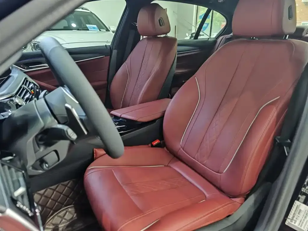 BMW 5 Series 2021 из CN, фото 2