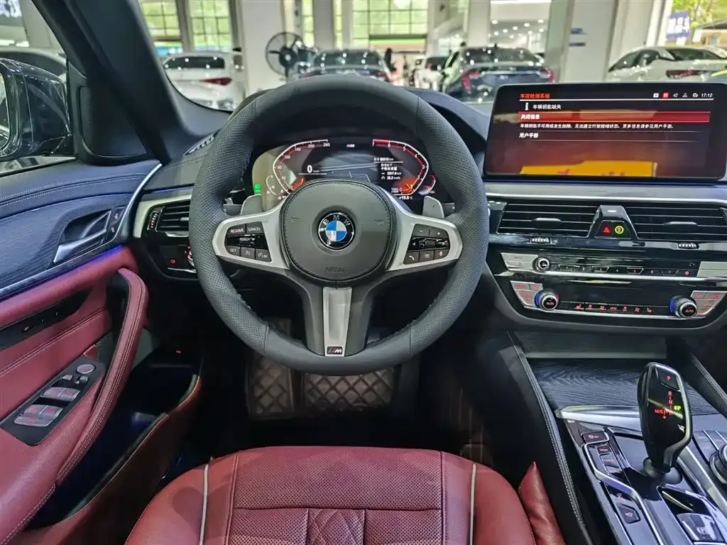 BMW 5 Series 2021 из CN, фото 6