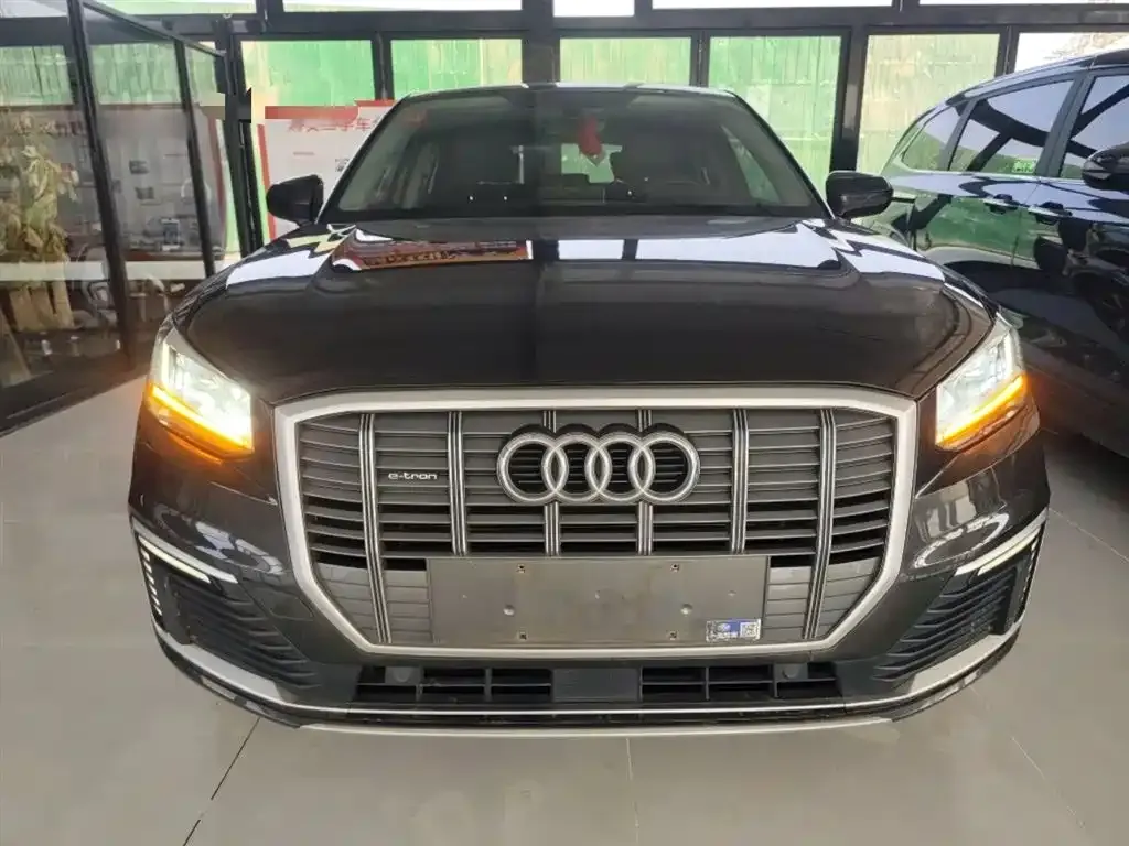 Audi Q2L e-tron 2021 из CN, фото 9