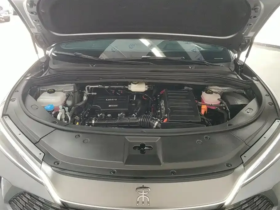 BYD L DM-i 2024 из CN, фото 4