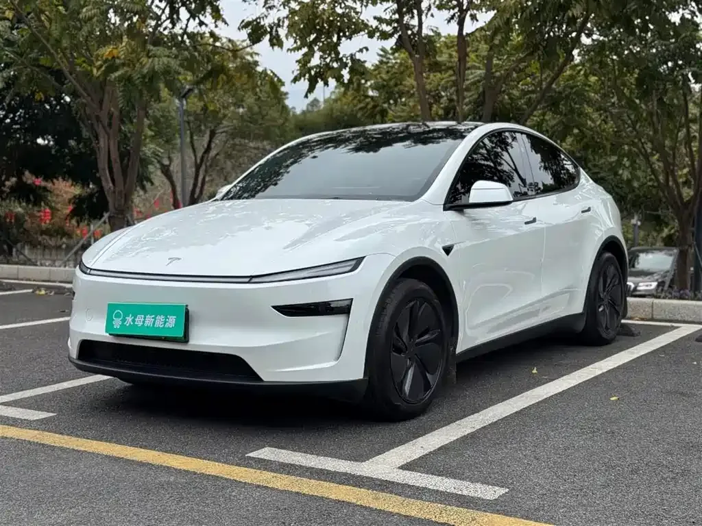 Tesla Model Y 2025 из CN, фото 1