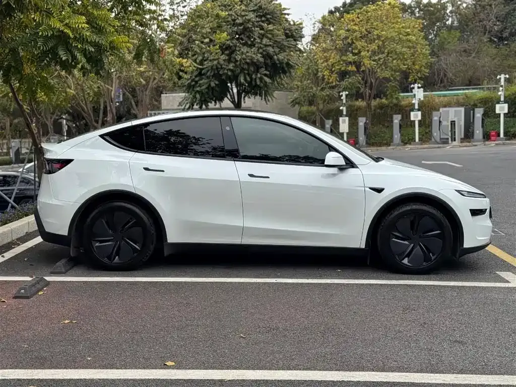 Tesla Model Y 2025 из CN, фото 8