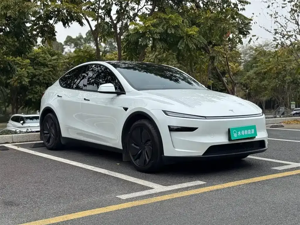 Tesla Model Y 2025 из CN, фото 7