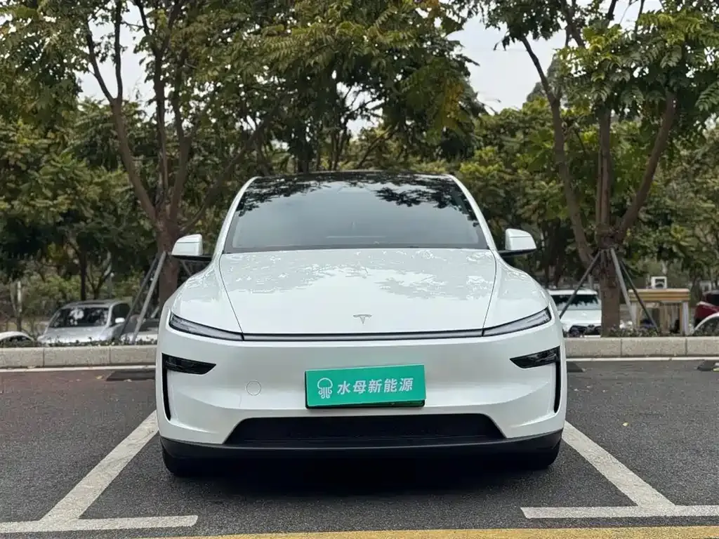 Tesla Model Y 2025 из CN, фото 3