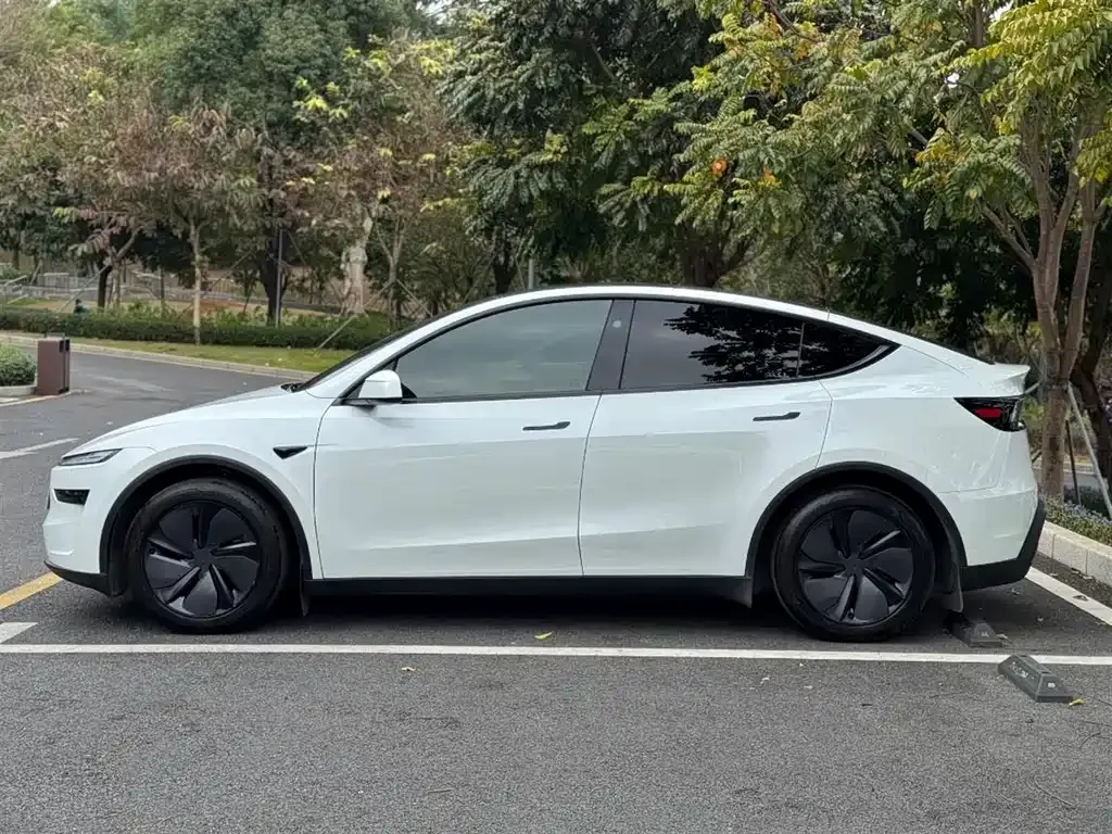 Tesla Model Y 2025 из CN, фото 9