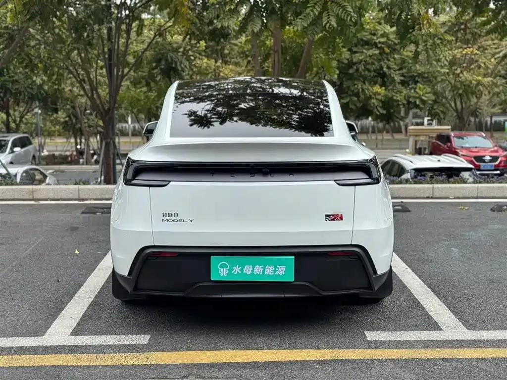 Tesla Model Y 2025 из CN, фото 6