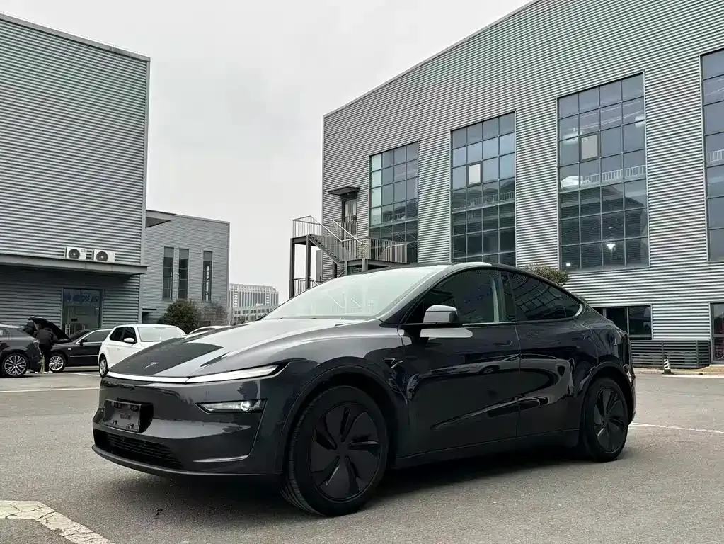 Tesla Model Y 2025 из CN, фото 1
