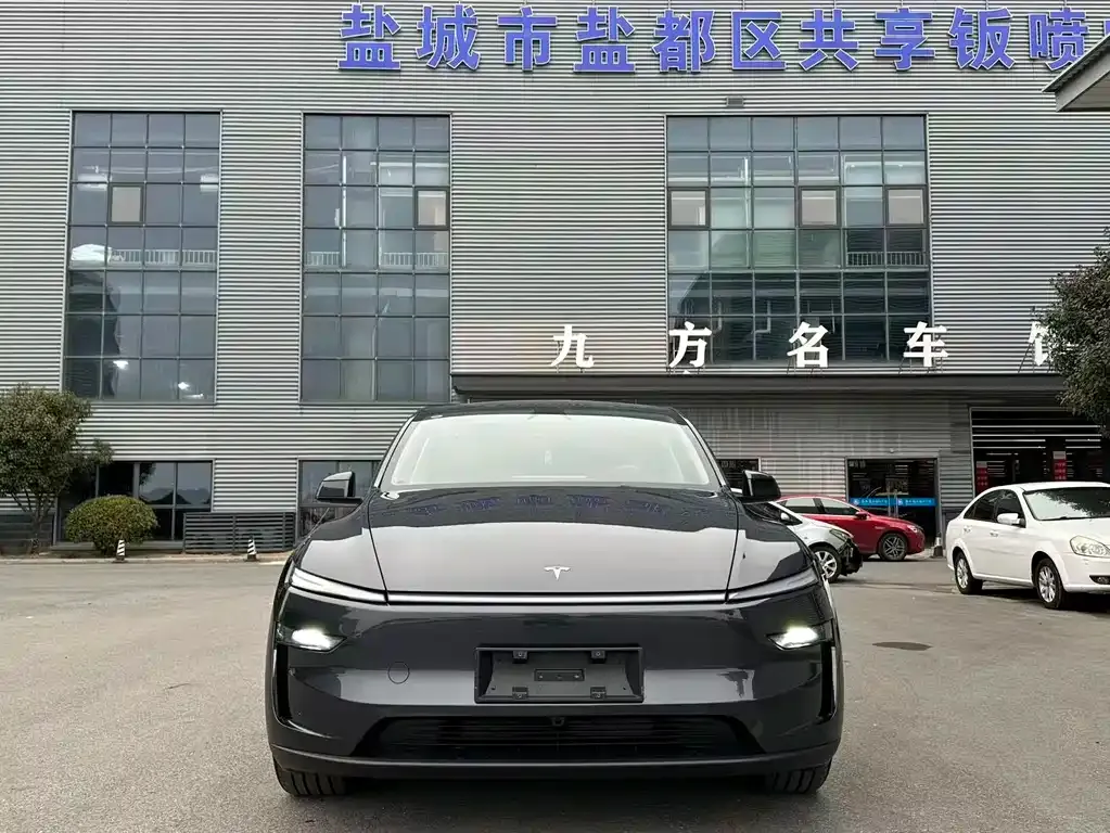 Tesla Model Y 2025 из CN, фото 3