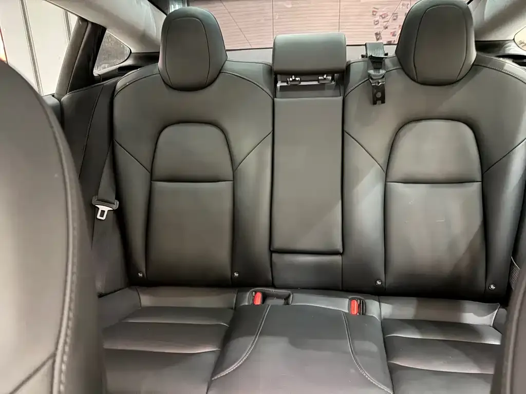 Tesla Model 3 2023 из CN, фото 4