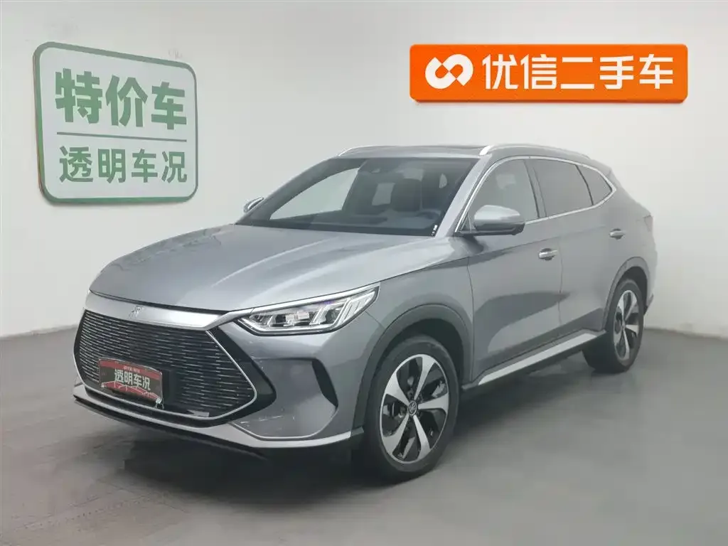 BYD PLUS New Energy 2023 из CN, фото 1