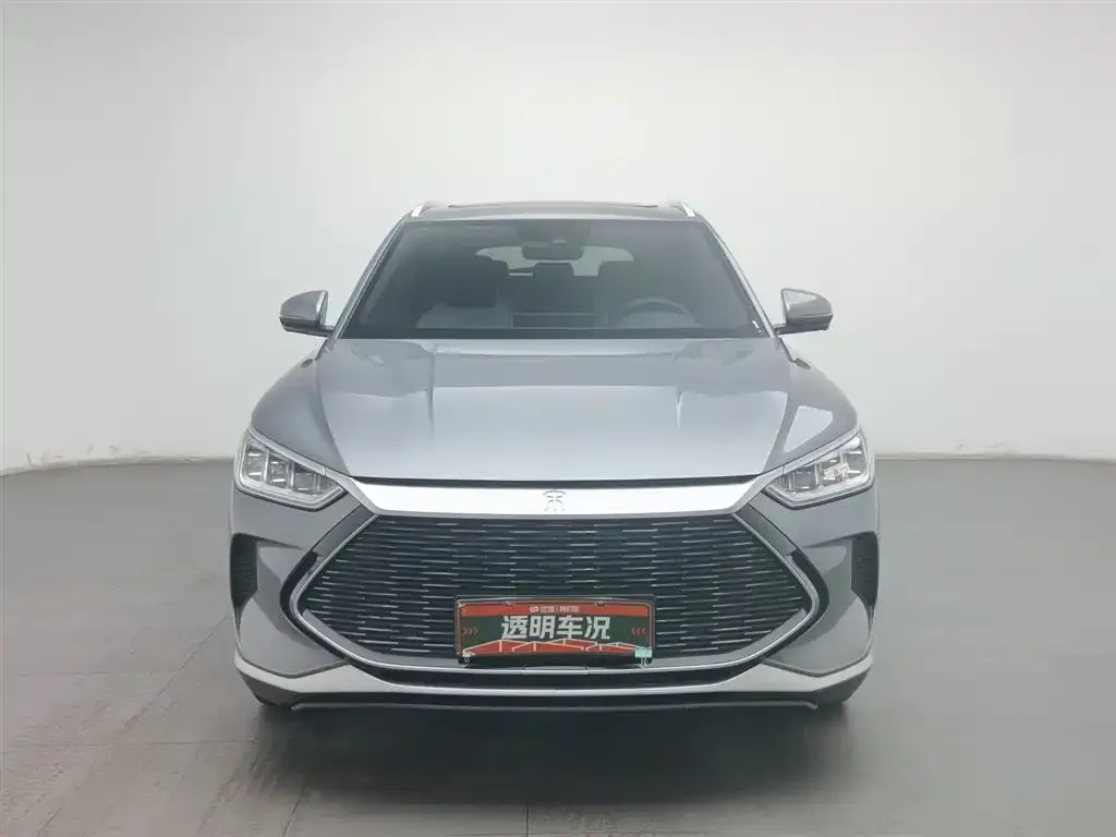 BYD PLUS New Energy 2023 из CN, фото 2