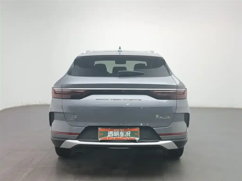 BYD PLUS New Energy 2023 из CN, фото 5