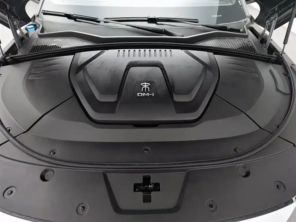 BYD PLUS New Energy 2023 из CN, фото 4