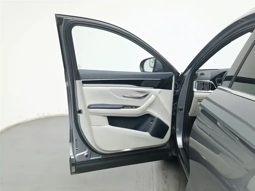 BYD PLUS New Energy 2023 из CN, фото 6
