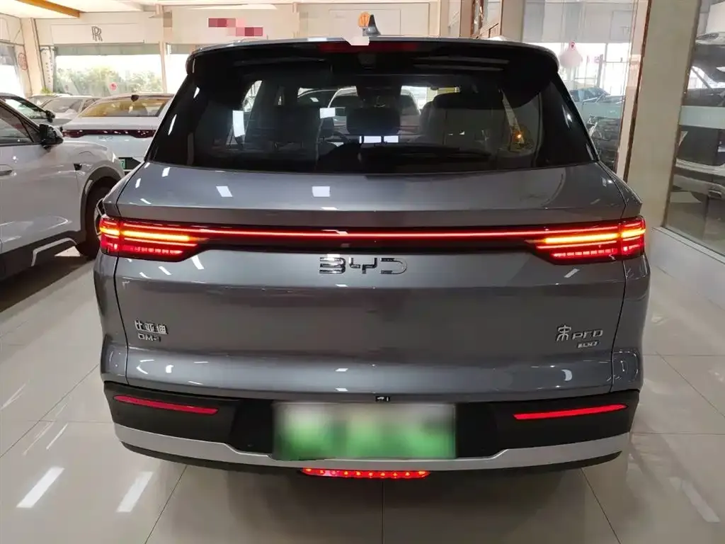BYD Pro New Energy — фото 3