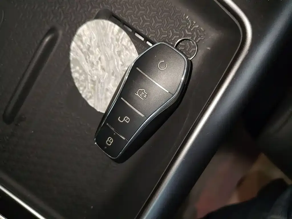 BYD Pro New Energy — фото 8