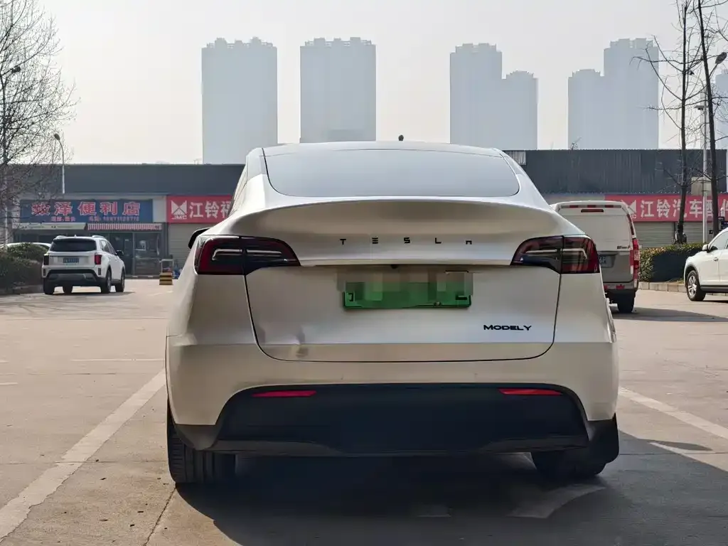 Tesla Model Y — фото 2