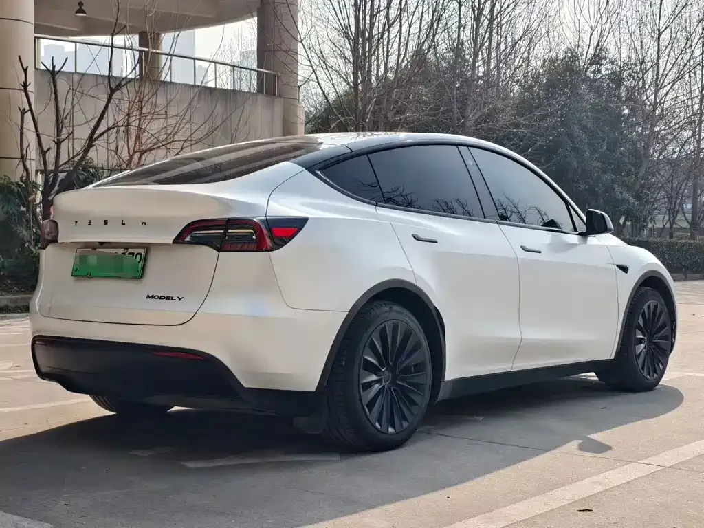 Tesla Model Y — фото 3