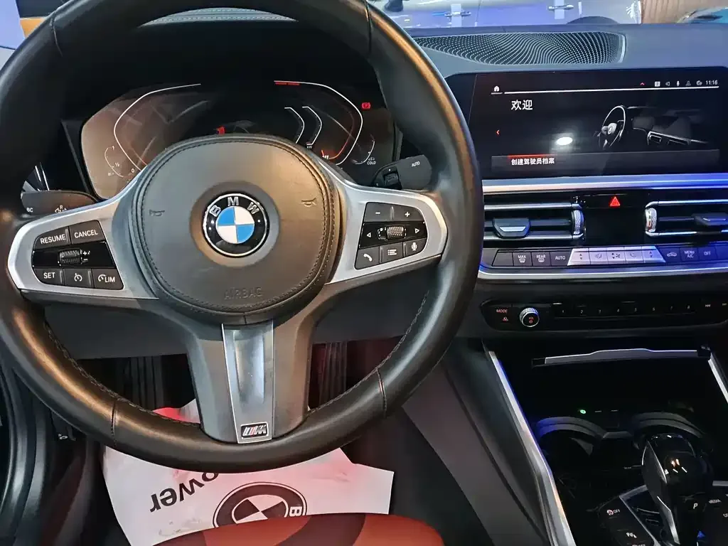 BMW 3 Series 2021 из CN, фото 6
