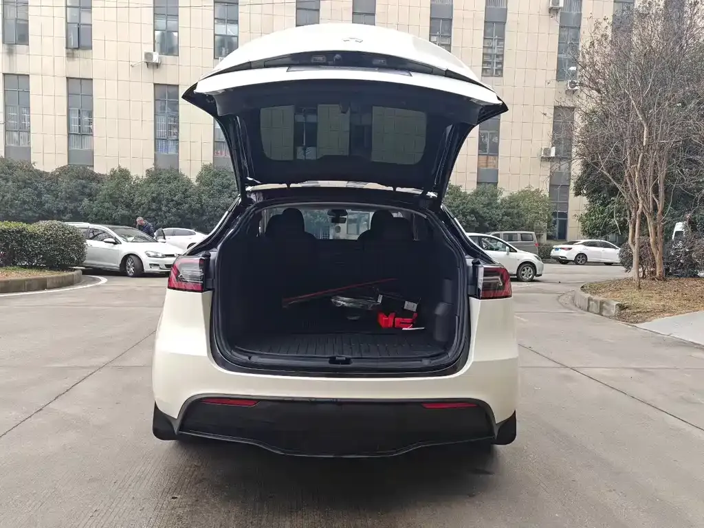Tesla Model Y 2024 из CN, фото 7