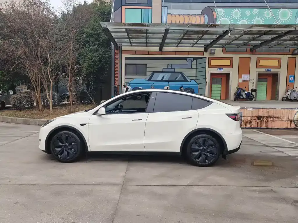 Tesla Model Y 2024 из CN, фото 9