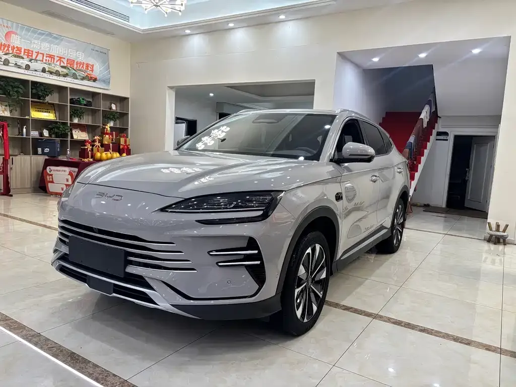 BYD PLUS New Energy 2025 из CN, фото 1