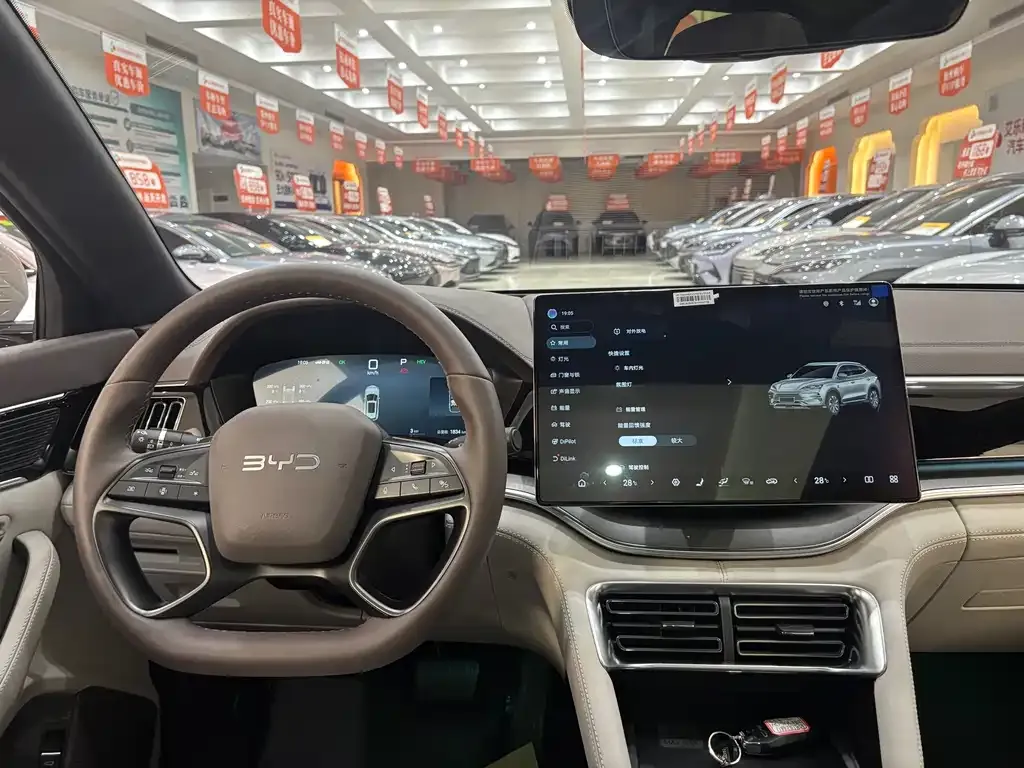 BYD PLUS New Energy 2025 из CN, фото 4