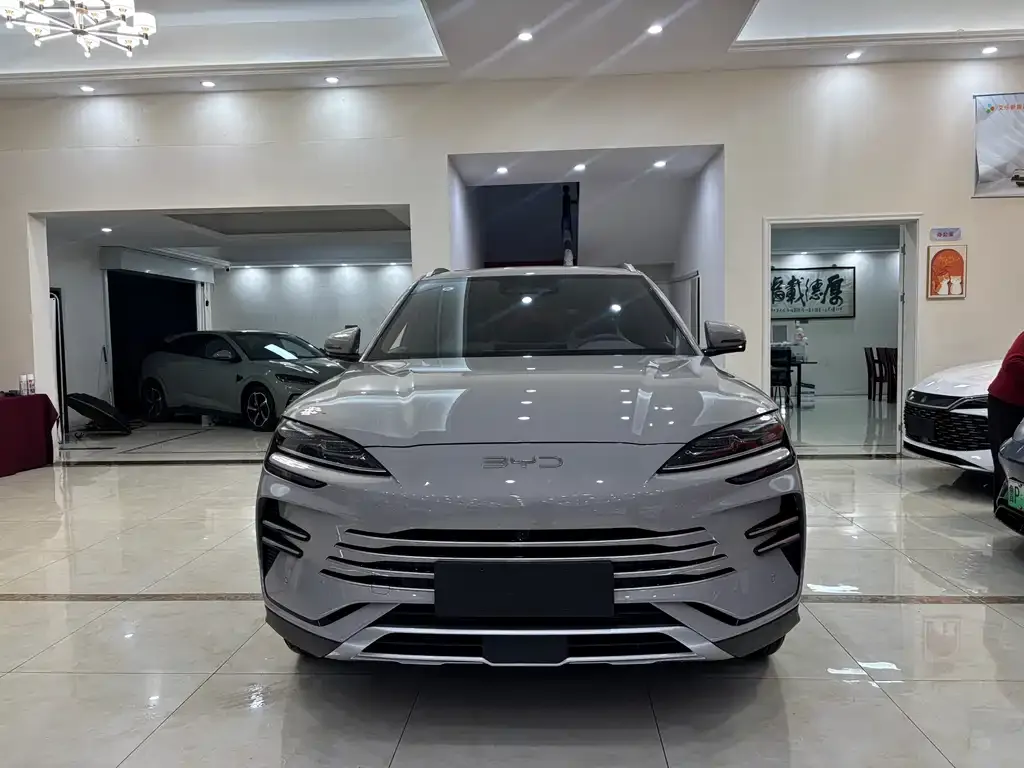 BYD PLUS New Energy 2025 из CN, фото 5