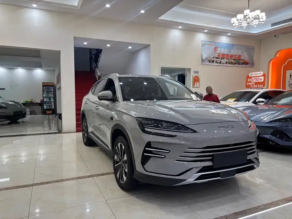 BYD PLUS New Energy 2025 из CN, фото 10
