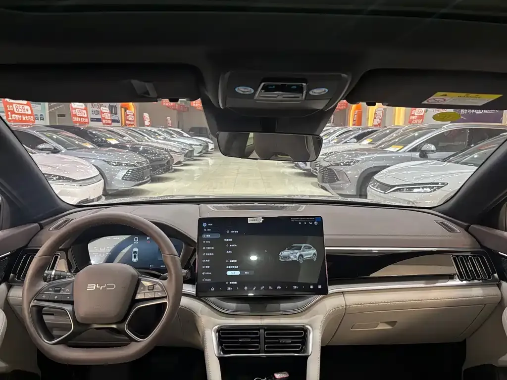 BYD PLUS New Energy 2025 из CN, фото 3