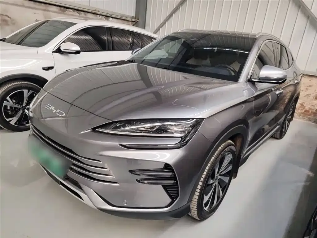 BYD PLUS New Energy 2024 из CN, фото 2