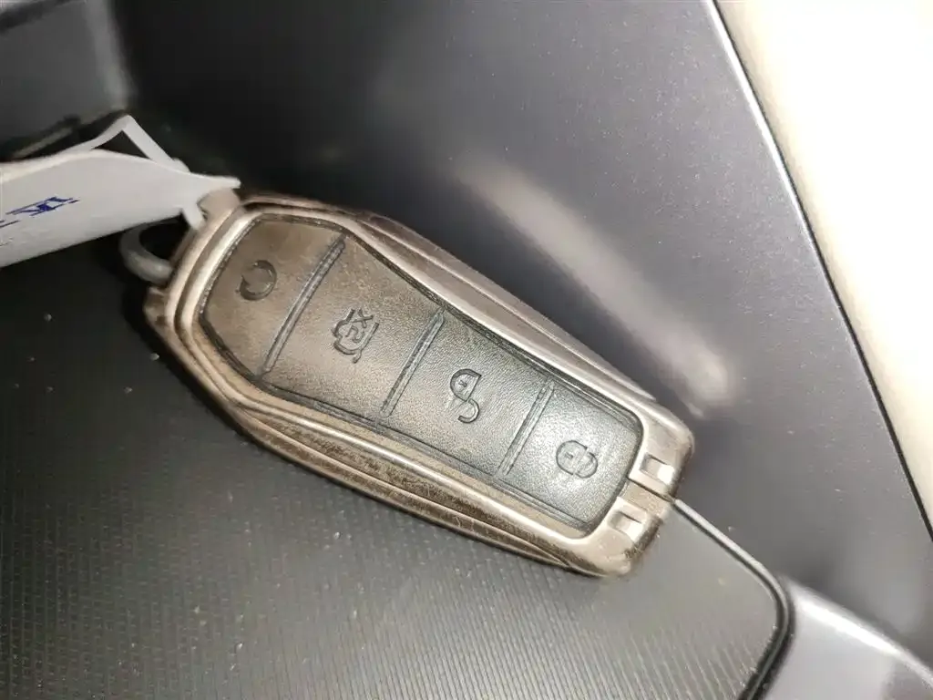 BYD PLUS New Energy 2024 из CN, фото 4
