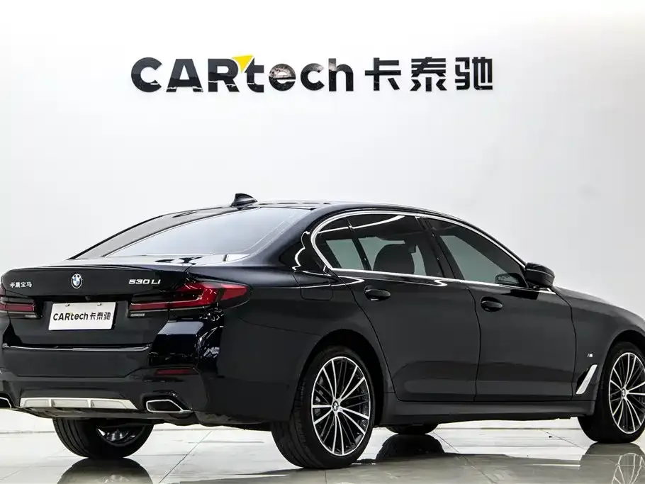 BMW 5 Series 2023 из CN, фото 6