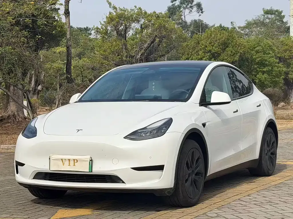 Tesla Model Y 2023 из CN, фото 1