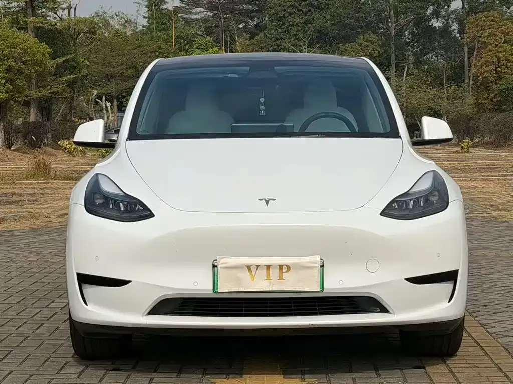 Tesla Model Y 2023 из CN, фото 7