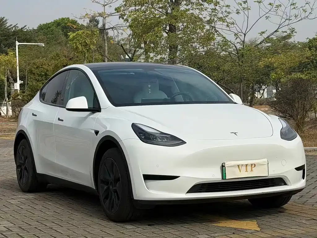 Tesla Model Y 2023 из CN, фото 10