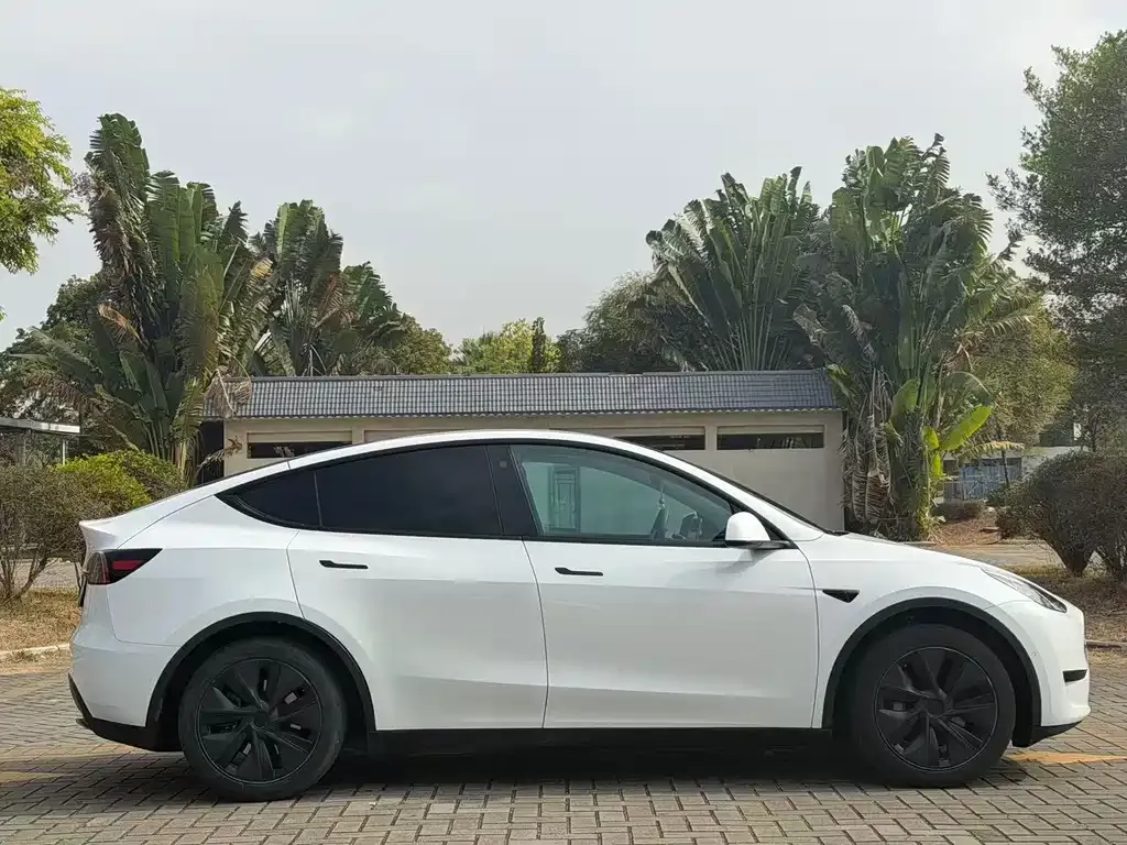 Tesla Model Y 2023 из CN, фото 5