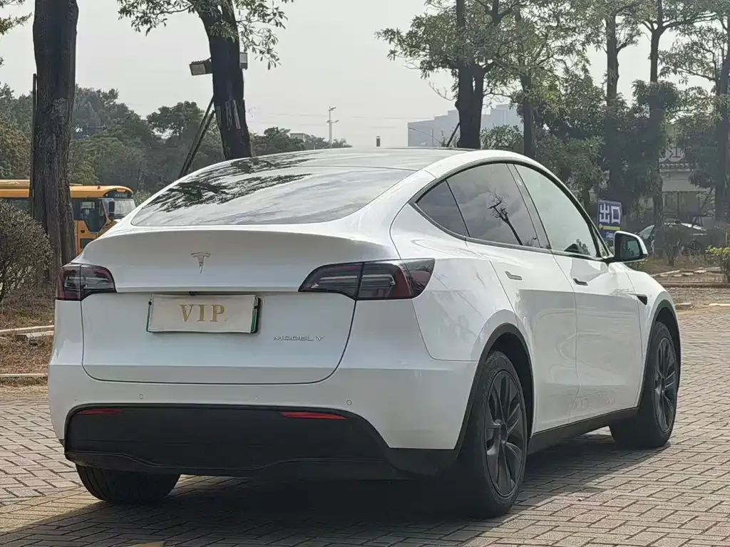 Tesla Model Y 2023 из CN, фото 6