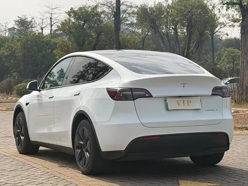 Tesla Model Y 2023 из CN, фото 4