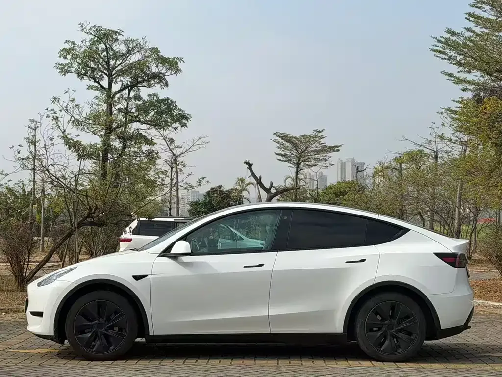 Tesla Model Y 2023 из CN, фото 9