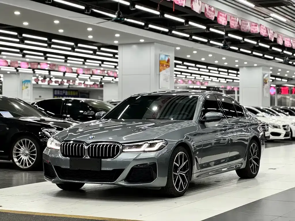 BMW 5 Series (Import) 2021 из CN, фото 1