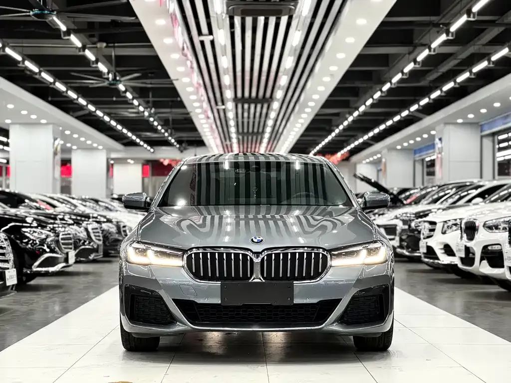 BMW 5 Series (Import) 2021 из CN, фото 5