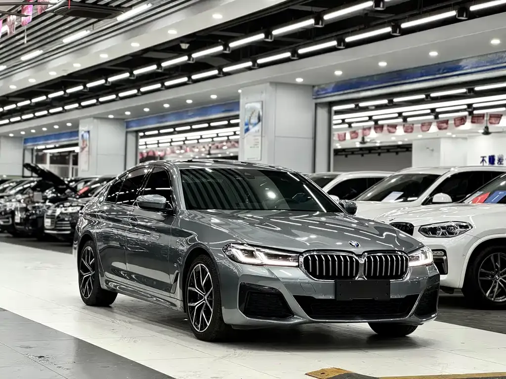 BMW 5 Series (Import) 2021 из CN, фото 3