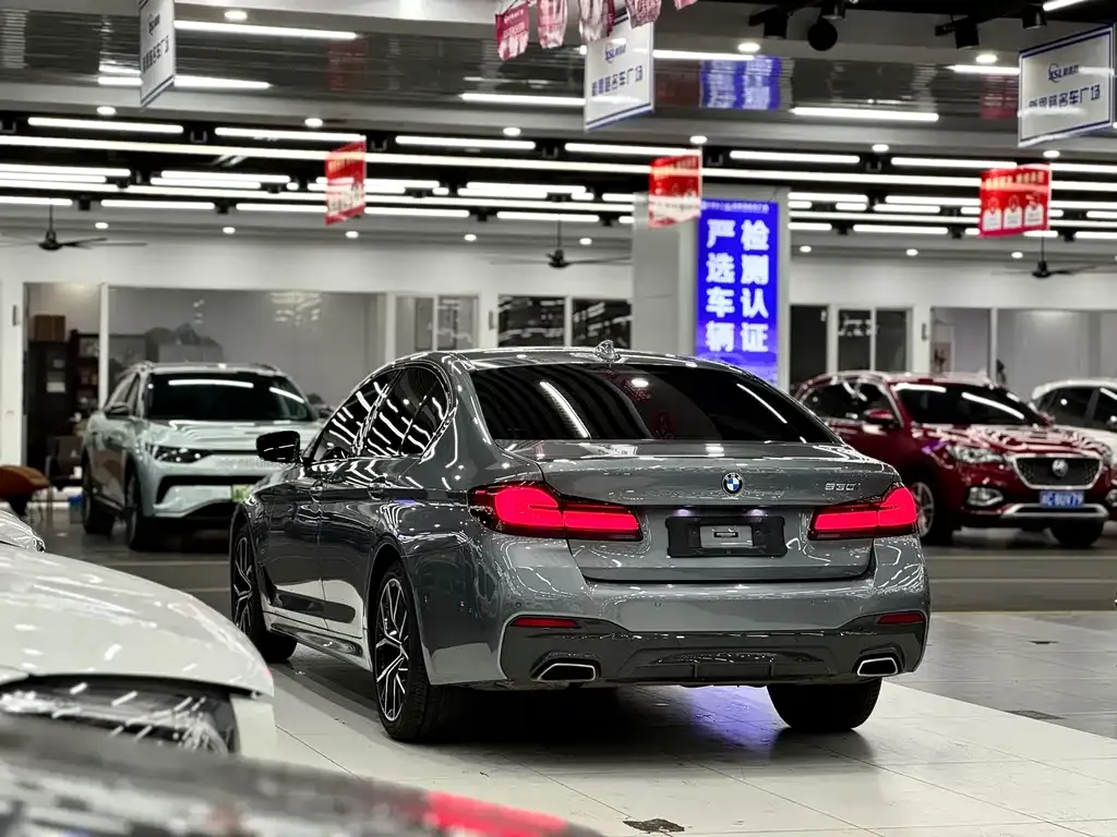 BMW 5 Series (Import) 2021 из CN, фото 8