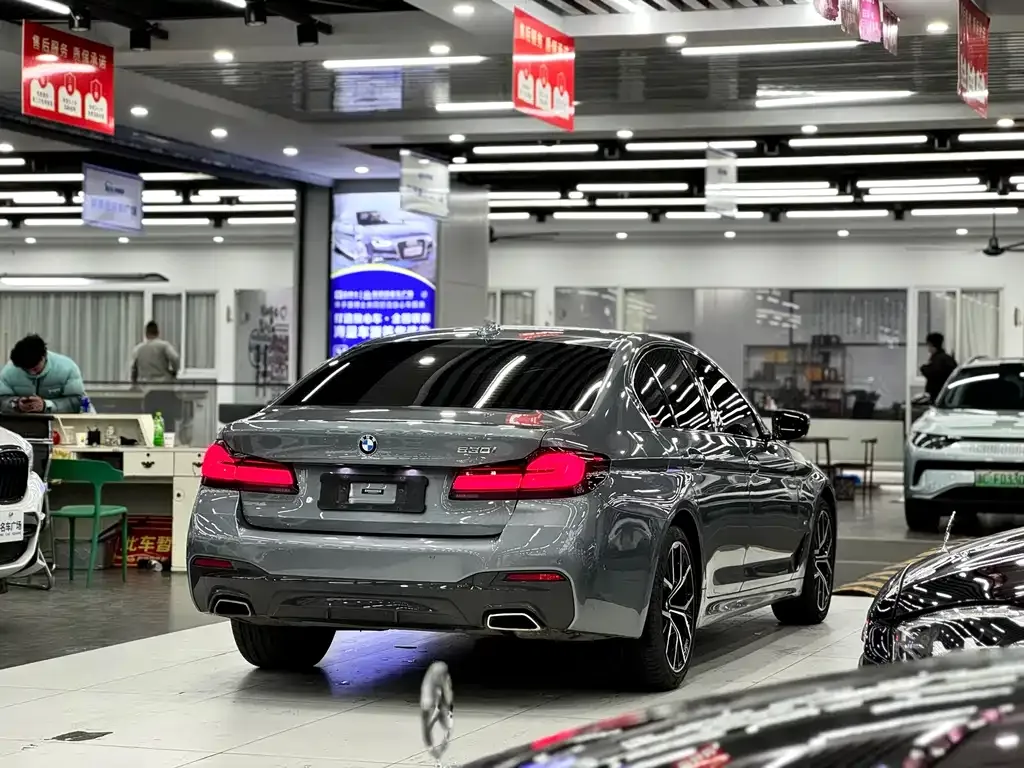 BMW 5 Series (Import) 2021 из CN, фото 7