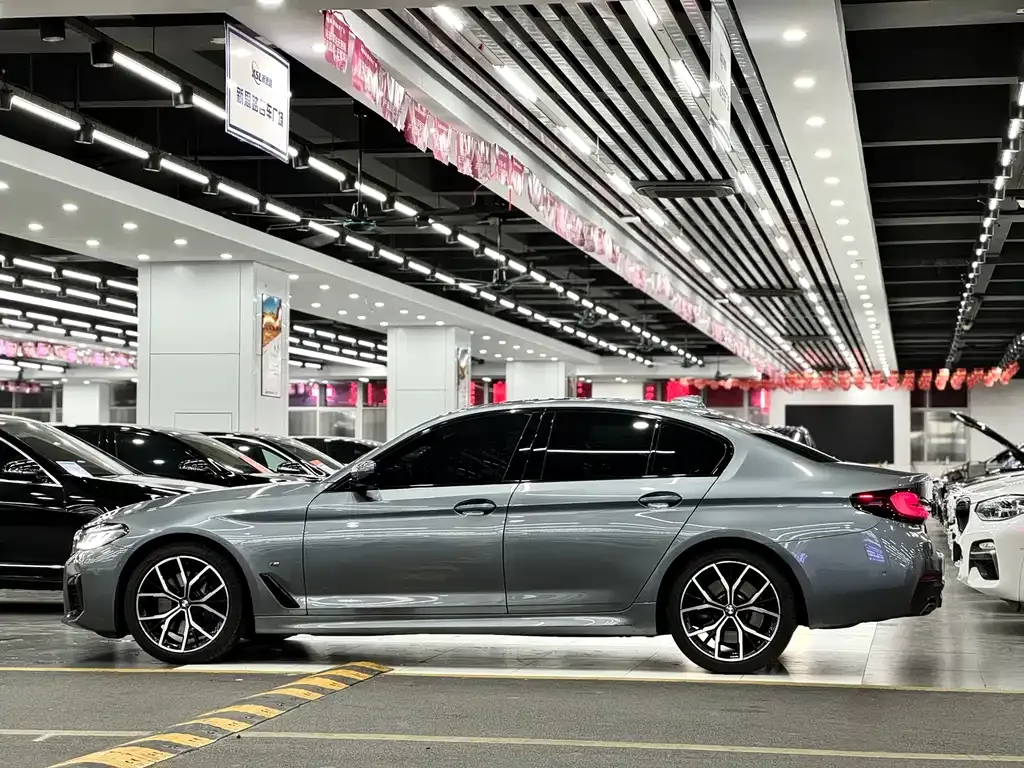 BMW 5 Series (Import) 2021 из CN, фото 10