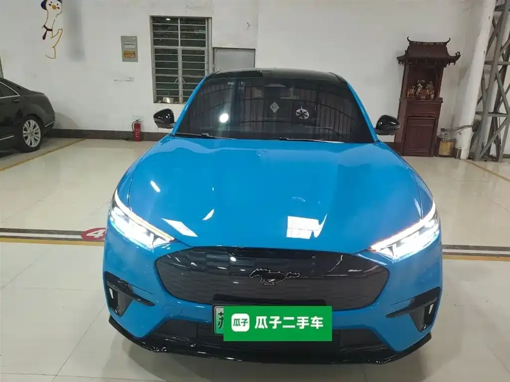 Ford Mustang Mach-E 2022 из CN, фото 3