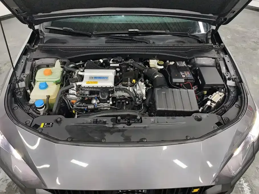 GAC Motor Shadow Leopard — фото 7