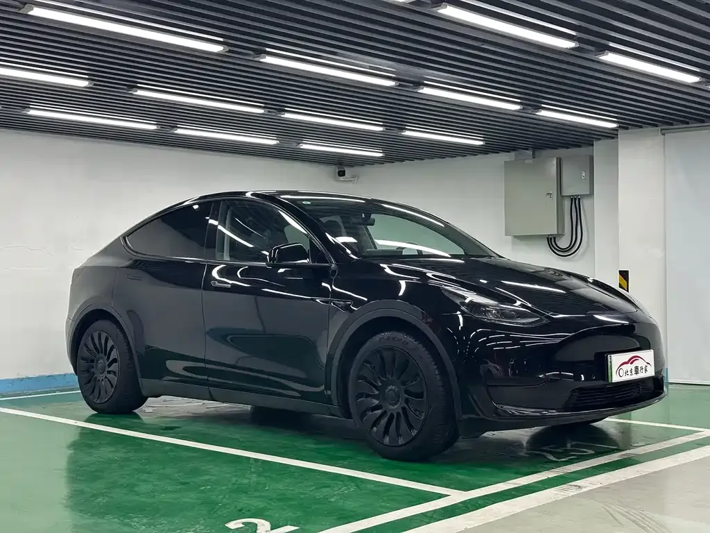 Tesla Model Y 2023 из CN, фото 7